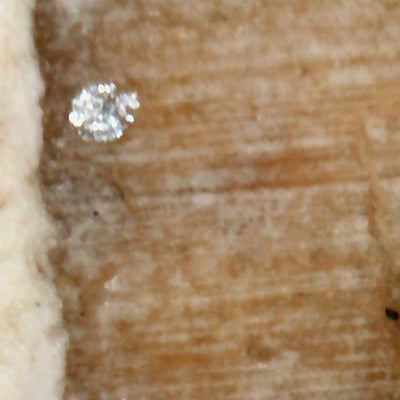 Photo prise avec le microscope