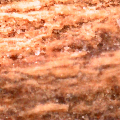 Photo prise avec le microscope