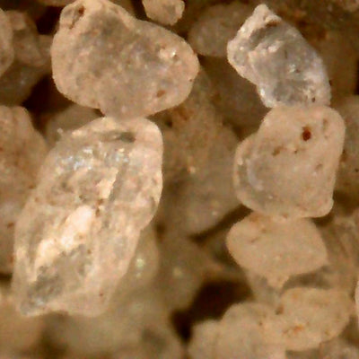 Photo prise avec le microscope