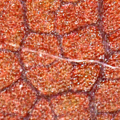 Photo prise avec le microscope