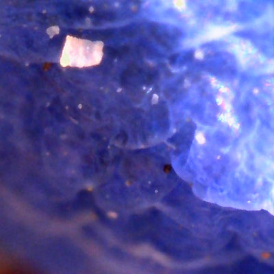 Photo prise avec le microscope