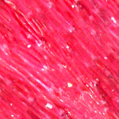 Photo prise avec le microscope