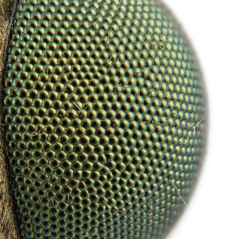 microscope media 7