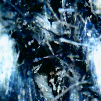 Photo prise avec le microscope