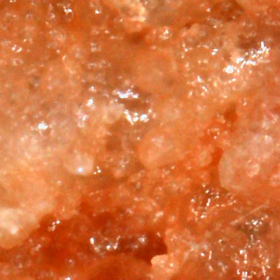 Photo prise avec le microscope