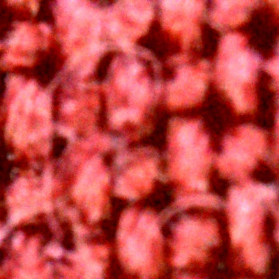 Photo prise avec le microscope